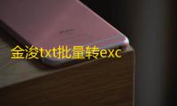 金浚txt批量转excel能手 2.1 绿色版